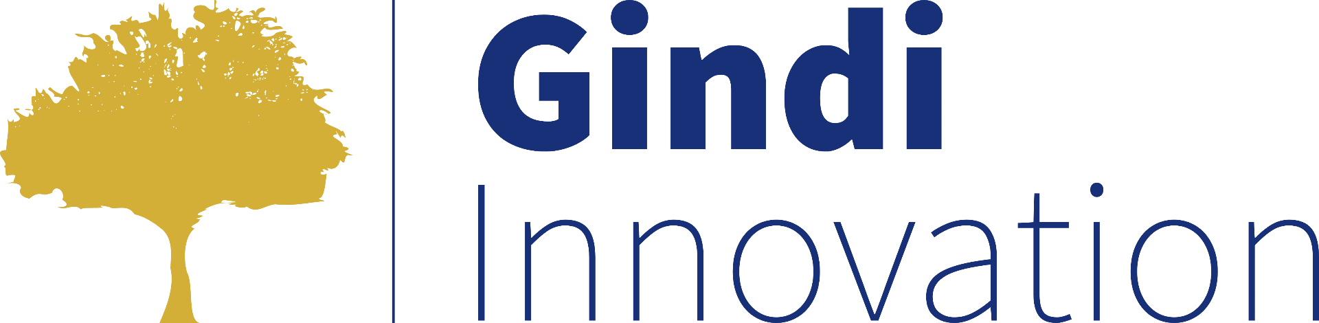 Gindi Innovation